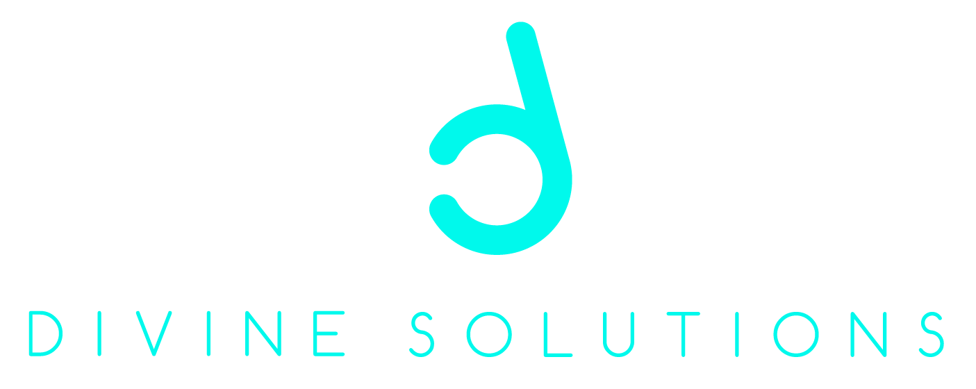 Divine Solutions Main Logo